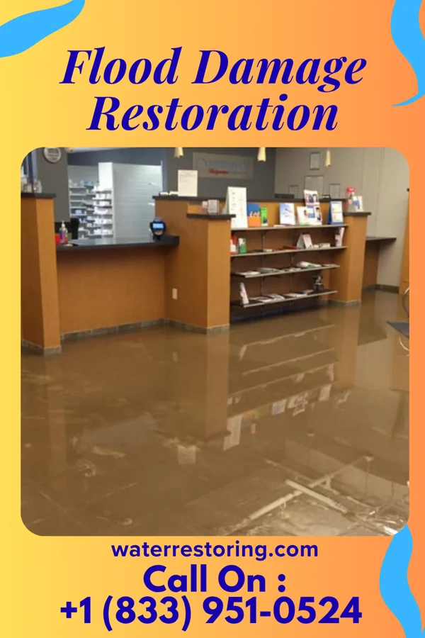 Flood Damage Restoration in Forman, ND