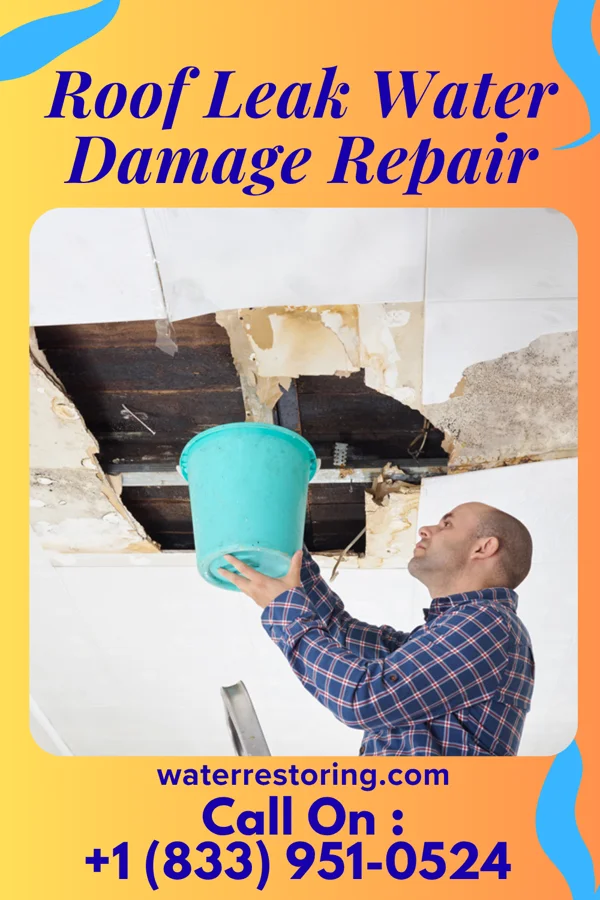 Roof Leak Water Damage Repair in Forman, ND